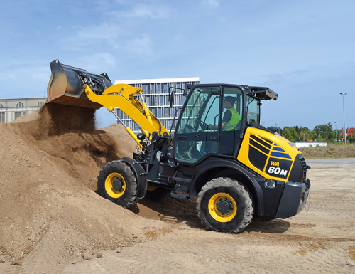 s_o1257_0_WA80M_8_action1