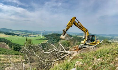 s_o1288_6_IMG_2126_BBB